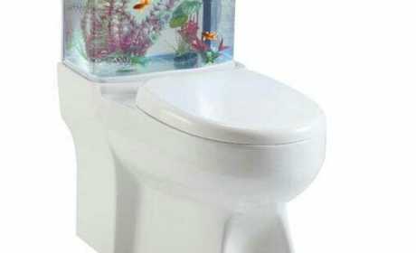 鱼缸坐便器