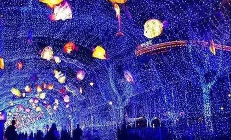 仅需24.9元，享原价30元的【周口市】翔耀生态园魔幻水幕星光灯海艺术节门票一张；夜幕降临，百万灯光争相辉映！ 置身灯海，欣然陶醉！