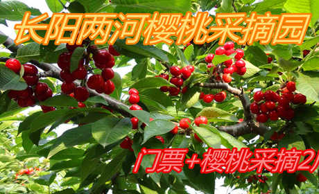 仅75元，享原价90元【房山区】长阳两河樱桃采摘园门票+樱桃采摘2斤，包含：采摘园门票+樱桃采摘2斤，长阳两河樱桃采摘园种植面积为40亩，是北京市观光采摘果园定点果园。