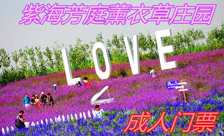仅50元！享价原价65元【磁县】紫海芳庭薰衣草庄园成人门票，包含：门票一张，位于邯郸市磁县光禄镇溢泉湖景区东侧，占地200亩，西靠溢泉湖度假区，东临南水北调景观带。