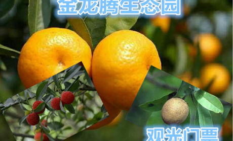 仅15元就可享受38元【霸州】金龙腾生态园观光门票一张，在这里可以采摘无公害蔬菜，品尝自制白酒，体验农耕生活，清雅幽静的生态园是乡村旅游、观光、休闲、度假、疗养的最佳选择。