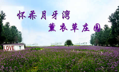 仅25元即可享受原价40元【怀柔】赏花浪漫月牙湾薰衣草庄园通票：戏水摸鱼+彩绘鹅卵石+喂养小动物+吊床秋千，享受快乐的亲子时光！