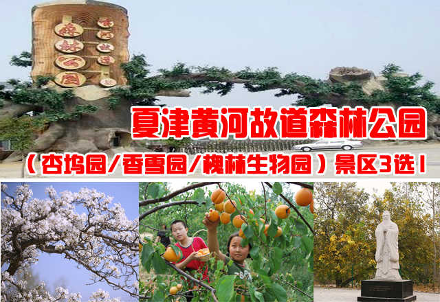 仅15元，享原价20元的德州夏津黄河故道森林公园3选1票，（杏坞园/香雪园/槐林生物园）景区3选1。