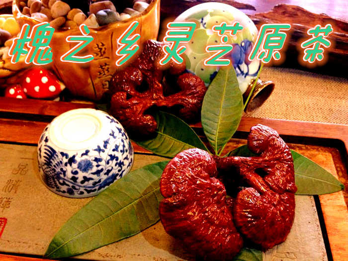 仅268元享价值398/200g元槐之乡灵芝原茶；灵芝茶具有免疫调节、耐缺氧、抗疲劳的保健作用，是从灵芝中提炼精制而成的天然保健品。