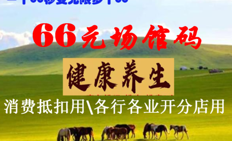 19800总代理培训大礼包