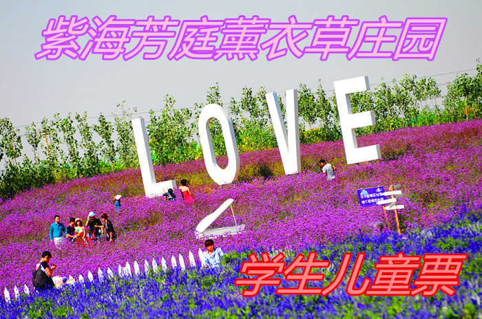 仅40元！享价原价60元【磁县】紫海芳庭薰衣草庄园学生儿童门票，包含：门票一张，位于邯郸市磁县光禄镇溢泉湖景区东侧，占地200亩，西靠溢泉湖度假区，东临南水北调景观带。