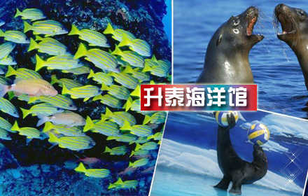仅售21元,价值80元【无锡】升泰海洋馆门票1张!在蔚蓝海底世界遨游,享受那一刻的美好宁静!开阔视野,感受温情,在深蓝色怀抱里迷醉!