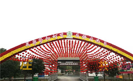 仅25元钱享受原价30元【武汉】湖北凡华灯笼民俗文化年门票，园区总规划面积10000亩，已建成智能化温室60亩、设施蔬菜大棚1700亩，包括葡萄、桑葚、红心火龙果、无花果、草莓、蜜桔等