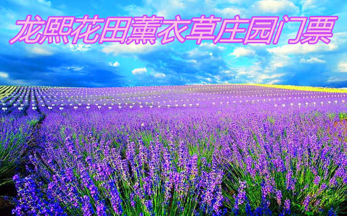 仅25元，享原价30元的龙熙花田薰衣草庄园门票一张！包含：龙熙花田薰衣草庄园门票一张，龙溪花田是一个集旅游观光、生态采摘、科普教育、特色餐饮、拍摄基地为一体的休闲度假生态庄园。