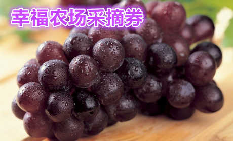 仅需1元，享受原价30元的【洛阳】幸福农场葡萄采摘券一张，包含内容免费品尝园区葡萄；1.4米以下免费品尝，1.4米以上购成人票 