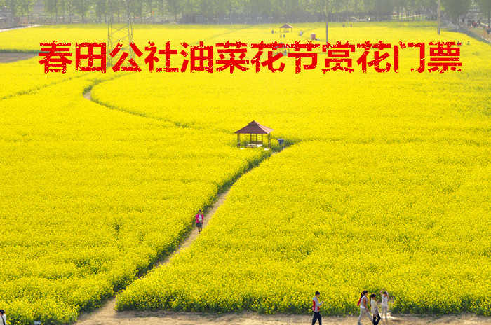 仅16元！享原价20元的【邢台市】春田公社油菜花节赏花门票，包含：春田公社油菜花节赏花门票一张，内设农业示范区、果木种植区、生态农场区、儿童游乐区、餐饮度假区、游园观光区6大服务区。