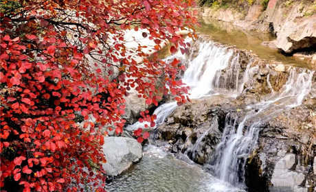仅100元抢购望仙大峡谷年卡一张，望仙大峡谷不仅流传着尧王访贤的远古传说，还有奇特美妙的仙山神水，疑是水仙梳洗处，一螺青黛镜中心”的绝句便萦绕脑际，身心的惬意和愉悦，美不可言。