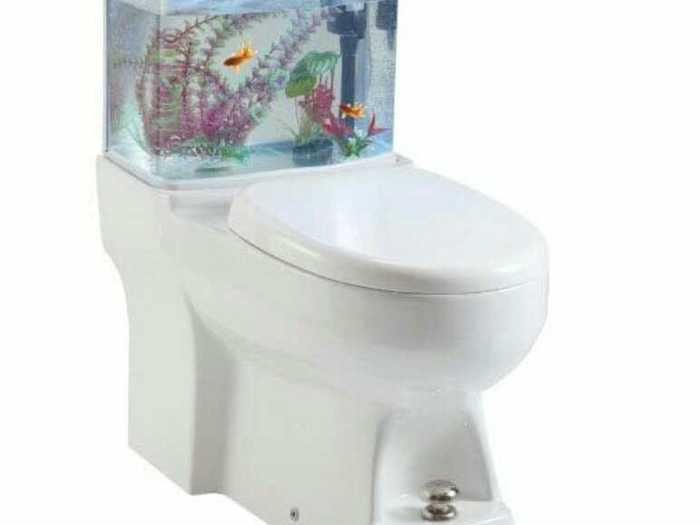 鱼缸坐便器