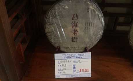 勐海老树  2010年