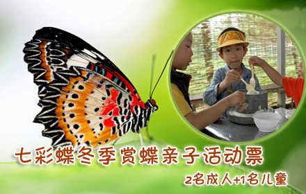 仅150元！原价325元的七彩蝶园冬季赏蝶亲子活动票(2+1)，含：所有参观项目、多米诺骨牌、磨豆浆、制作棉花糖一个、捞鱼二条、蝶翅画制作一幅！七彩蝶年底促销活正在进行中，游客可携带就名儿童与蝴蝶近距