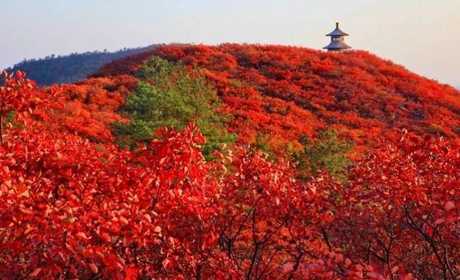【运城市】望仙大峡谷成人票