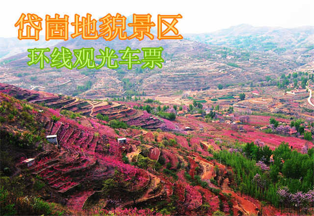 仅30元，享原价40元的岱崮地貌景区环线观光车票一张，无需预约，景区验证。岱崮地貌景区是休闲观光、地质研究、红色教育、寻幽探秘、摄影写生的最佳去处。