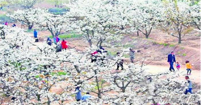 仅14.9元就享受20元的【平原县】康熙探花庄园成人门票（仅限四月5日-7日使用）一张，含：千奇百怪的动物、空中霸主，陆地之王 、魔法稻草人艺术节。