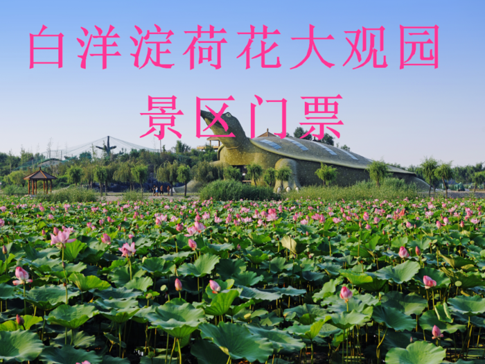 仅售35元！享受价值50元的【保定】白洋淀荷花大观园门票，景点特色：渔猎文化、民俗文化、历史文化、生态文化为基础，精心打造的国家级精品名园，是集旅游观光、休闲度假、会议教学、拓展训练的顶级景区。