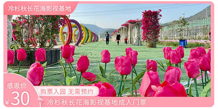 冷杉秋长花海影视基地成人门票