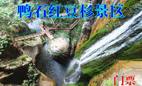 仅48元，享原价60元的【洛阳市】栾川鸭石红豆杉景区门票，红豆杉景区是豫西南地区，全景栾川旅游黄金线上的新亮点，是您生态探险，养生度假、避暑休闲的绝佳去处！