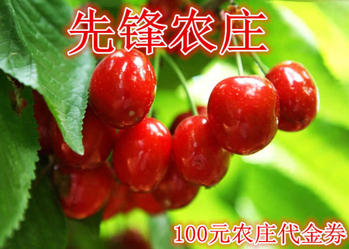 仅90元，享价值100元的【巩义】先锋农庄50元代金券国标游泳池，鲜果采摘，农家餐饮，垂钓等。