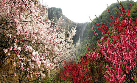 仅55元，享原价60元的【邢台市】九龙峡景区门票，内含卧虎山，三星山，藏龙峡，老龙潭著名景区。