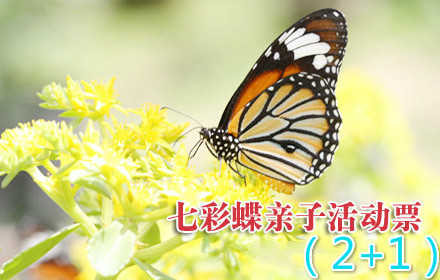 190元！原价248元的七彩蝶园亲子(2+1)门票，含：参观（蝴蝶文化展、蝴蝶标本展、蝴蝶谷、蝴蝶世界、蝴蝶科普展、蝴蝶宝宝之家）