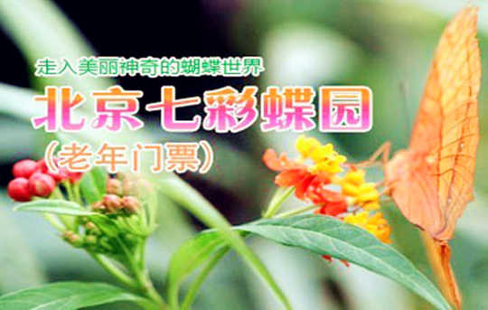 仅60元！原价66元的七彩蝶园老年人门票 含：蝴蝶文化、蝴蝶艺术展、蝴蝶谷、蝴蝶科普展、蝴蝶宝宝之家、蝴蝶室外观赏园、花海、放飞广场（有季节性），游客可与蝴蝶近距离接触，感受与蝶共舞的浪漫！七彩蝶园不