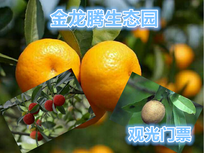 仅15元就可享受38元【霸州】金龙腾生态园观光门票一张，在这里可以采摘无公害蔬菜，品尝自制白酒，体验农耕生活，清雅幽静的生态园是乡村旅游、观光、休闲、度假、疗养的最佳选择。