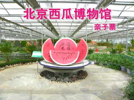 仅22元，享原价30元的【大兴】北京西瓜博物馆亲子门票一张，包含1大1小（儿童1.2米以下）北京西瓜博物馆建馆于2004年，坐落在西瓜之乡庞各庄镇，其独特的西甜瓜馆藏文化,令人感到叹为观止。