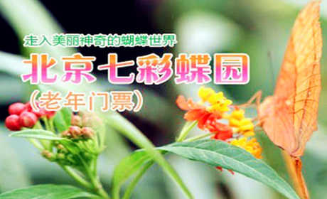 仅60元！原价66元的七彩蝶园老年人门票 含：蝴蝶文化、蝴蝶艺术展、蝴蝶谷、蝴蝶科普展、蝴蝶宝宝之家、蝴蝶室外观赏园、花海、放飞广场（有季节性），游客可与蝴蝶近距离接触，感受与蝶共舞的浪漫！七彩蝶园不