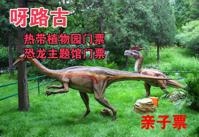 仅49元，享价值140元的【大兴】呀路古热带植物园观光单人门票+恐龙主题馆门票亲子套票，包含：1名成人+1名1.3米以下儿童，无需预约，观赏热带植物奇景，呼吸自然纯净空气，给自己的生活加加氧！