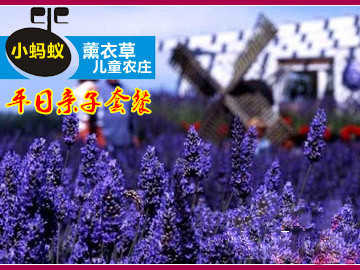 【朝阳区】 仅190元，享受原价310元的超级小蚂蚁薰衣草儿童俱乐部农庄4项亲子体验套餐，包含：1大1小农庄门票+农庄经典项目4项+4项农庄精品项目体验