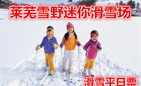 仅75元就享受90元的【莱城区】莱芜雪野迷你滑雪场滑雪平日票，含：雪鞋，雪板，雪仗，魔毯