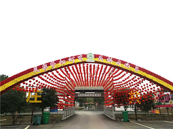 仅25元钱享受原价30元【武汉】湖北凡华灯笼民俗文化年门票，园区总规划面积10000亩，已建成智能化温室60亩、设施蔬菜大棚1700亩，包括葡萄、桑葚、红心火龙果、无花果、草莓、蜜桔等