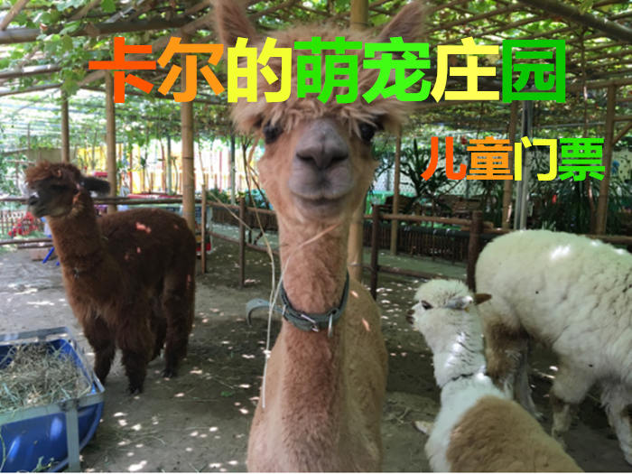 仅24元！享原价50元的【北辰区】卡尔的萌宠庄园儿童门票，包含：热带植物观光和小动物观赏，总营业面积达两万平米,其中包含占地13000平米的热带亚热带植物区,萌宠小动物区