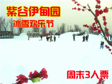 仅246元，享原价510元的紫谷伊甸园冰雪欢乐节周末3人套票，含:门票、冰车、冰上雪板、雪圈、雪板、单板、羊马庄门票、中餐餐劵（11:30-14:00）.