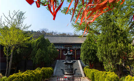 仅28元，享原价30元【日照】驻龙山成人门票一张，包含：龙山寺、武圣殿、封神台、石鼓、朝阳洞、平安桥、闫王鼻子、体育旅游，度假休闲。