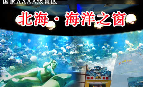 仅价93元，享市场价138元的北海海洋之窗4A景区门票！有海洋生物标本，航海展览，人与鲨鱼互动表演等！是一座引领海洋科技时尚、传播海洋文化品位、领略海洋无限风光的大型综合性海洋博览馆！