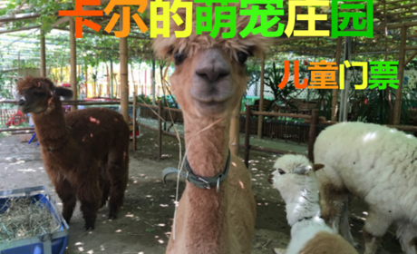 仅24元！享原价50元的【北辰区】卡尔的萌宠庄园儿童门票，包含：热带植物观光和小动物观赏，总营业面积达两万平米,其中包含占地13000平米的热带亚热带植物区,萌宠小动物区