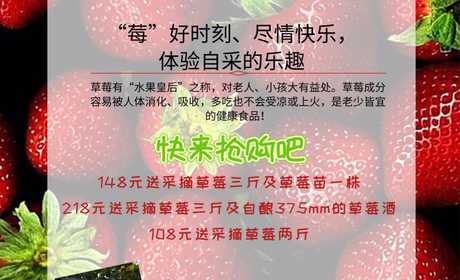 仅148元即可抢购门市价200元的【重庆】熊大草莓园采摘抢购门票一张，包含：有机巧克力草莓三斤、草莓苗一株