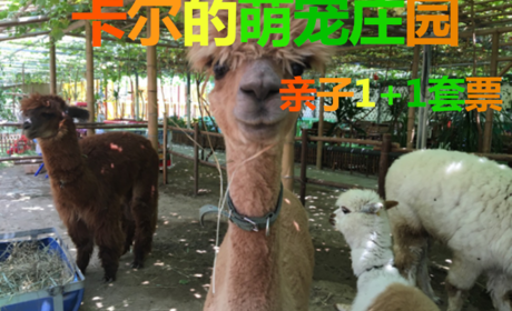 仅128元！享原价229元的【北辰区】卡尔的萌宠庄园亲子1+1套票，包含：热带植物观光和小动物观赏等，总营业面积达两万平米,其中包含占地13000平米的热带亚热带植物区,萌宠小动物区