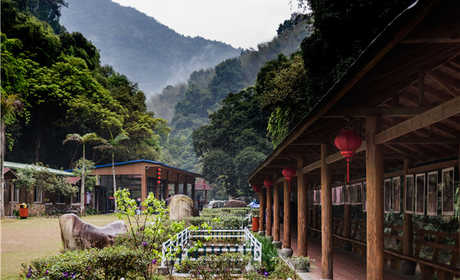 仅80元！享门市价100元的【泉州市】志闽旅游穿越桫椤谷门票， 一个集真实地理环境、顶级户外设施、完整课程体系、专业教练团队于一体的户外 运动体验基地。