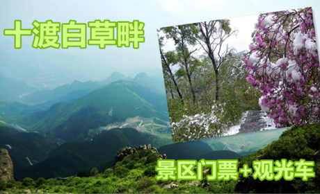 仅76元，享原价88元的【房山】十渡白草畔景区门票+观光车，景区以百花争妍的高山草甸为特点，空气清新，环境幽美，气候凉爽宜人，夏季气温比北京城区低8-16度，是炎热的夏季旅游度假的佳处所在。