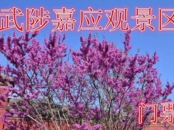 仅29.9元，享原价50元的【武陟县】嘉应观景区门票，含：门票一张