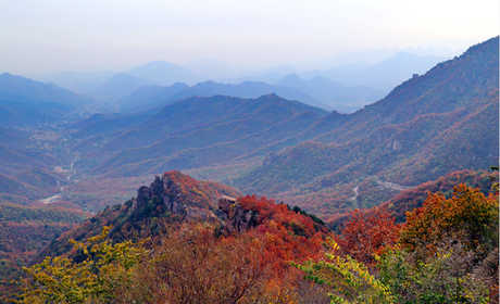 仅40元即可抢购门市价50元的【秦皇岛】板厂峪景区通票一张，板厂峪景区是省级风景名胜区，世界徒步协会健走基地，秦皇岛十大乡村旅游目的地，“长城秋色”是秦皇岛十大景观。