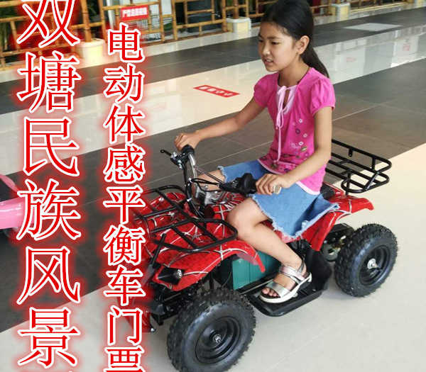 仅8元，享原价10元的【天津】西双塘民族风景区电动体感平衡车门票,含门票一张，兴尖顶青瓦，雕龙画风，古朴典雅。
