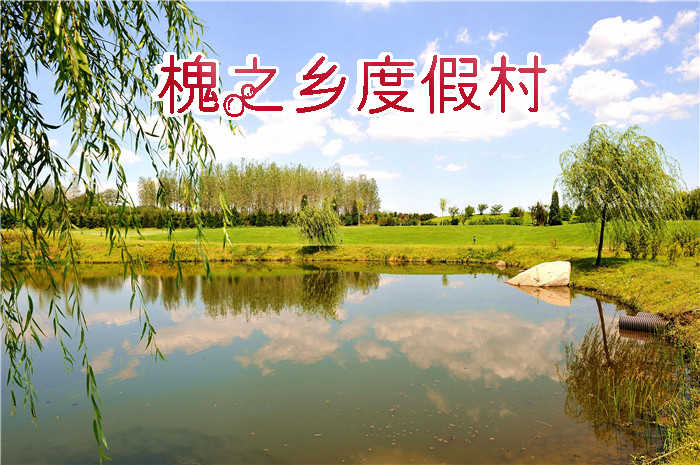 仅90元即可享受原价100元【大连】槐之乡度假村餐饮代金券1张，全场通用，可叠加使用，可免费使用包间，闹中取静，环境舒适，交通出行方便快捷，欢迎您的到来~