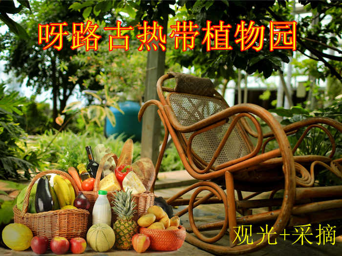 仅108元，享价值168元【大兴】呀路古热带植物园观光+采摘券一张。本单含：观光门票1张、价值108元采摘券1张。无需预约，观赏热带植物奇景，呼吸自然纯净空气，给自己的生活加加氧！
